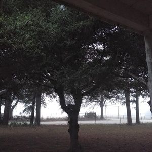 Meet your Posher, Geraldine